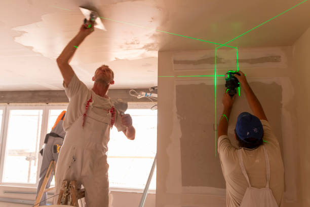 Lake Sarasota, FL Painting & Drywall Services Company